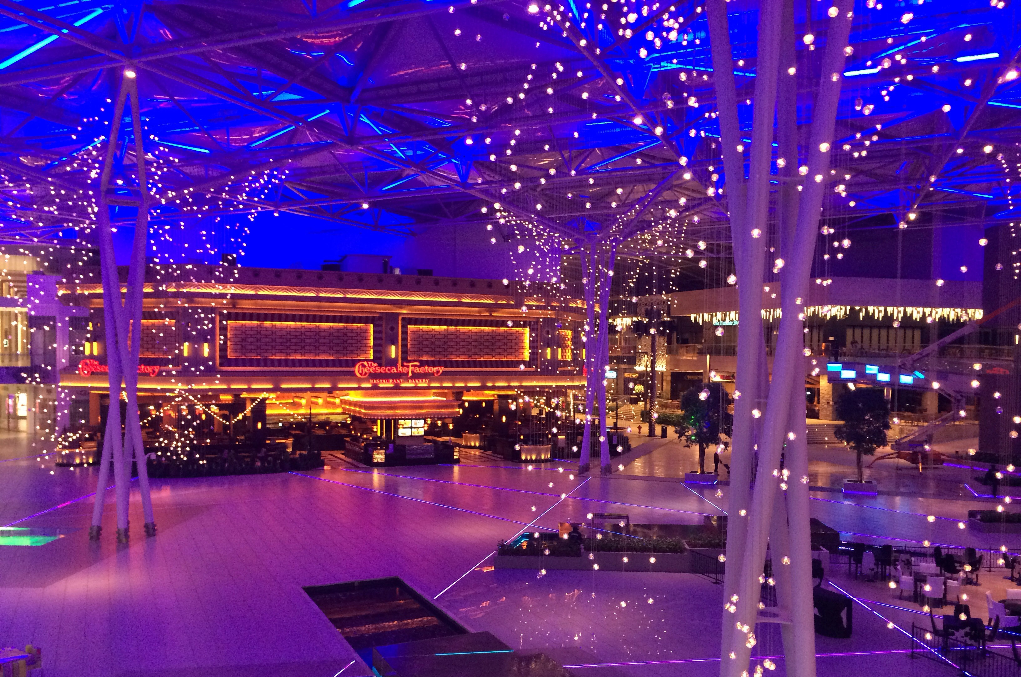 venue with a tree in the foreground with lights that are similar to the ones used for christmas decorations